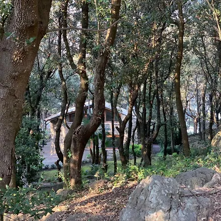 ホテル Mezzatorre & Thermal Forio di Ischia